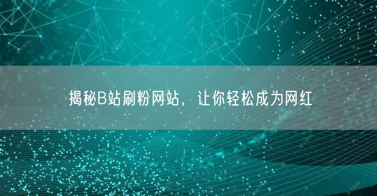 揭秘B站刷粉网站，让你轻松成为网红