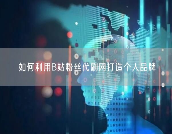 如何利用B站粉丝代刷网打造个人品牌