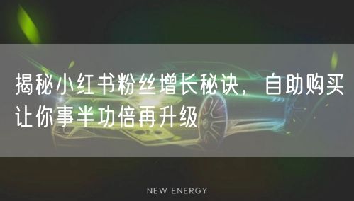 揭秘小红书粉丝增长秘诀，自助购买让你事半功倍再升级