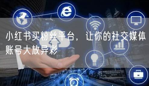 小红书买粉丝平台，让你的社交媒体账号大放异彩