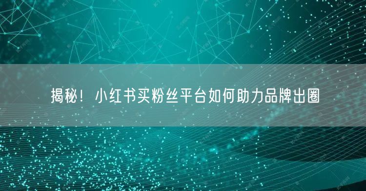 揭秘！小红书买粉丝平台如何助力品牌出圈
