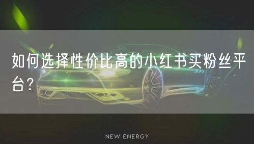 如何选择性价比高的小红书买粉丝平台？