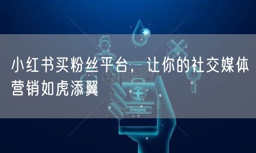小红书买粉丝平台，让你的社交媒体营销如虎添翼