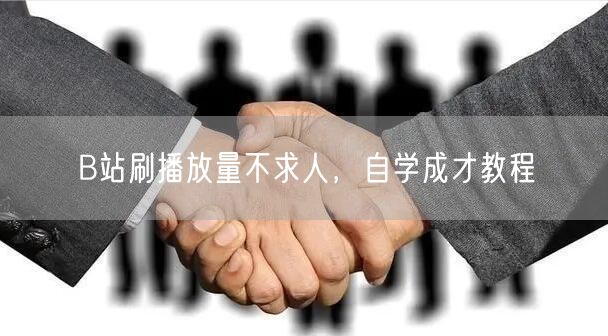 B站刷播放量不求人，自学成才教程