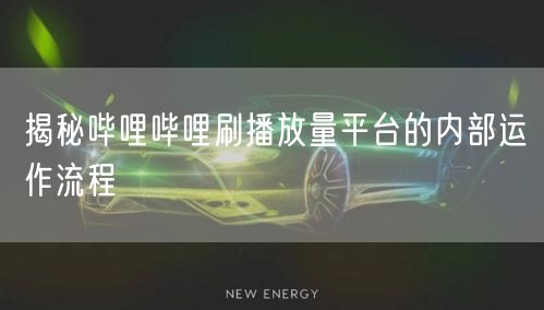 揭秘哔哩哔哩刷播放量平台的内部运作流程