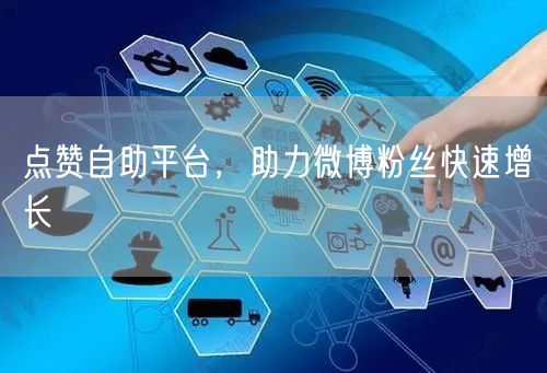 点赞自助平台，助力微博粉丝快速增长