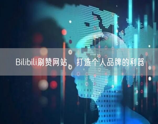 Bilibili刷赞网站，打造个人品牌的利器