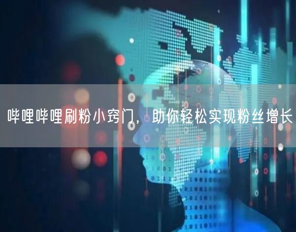 哔哩哔哩刷粉小窍门，助你轻松实现粉丝增长