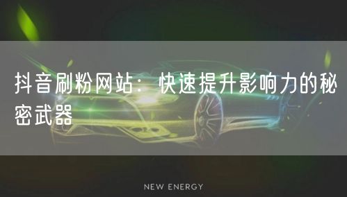 抖音刷粉网站：快速提升影响力的秘密武器