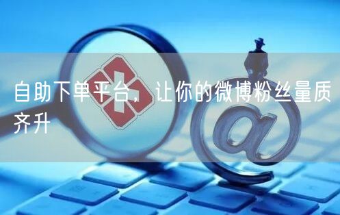 自助下单平台，让你的微博粉丝量质齐升