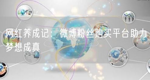 网红养成记：微博粉丝购买平台助力梦想成真