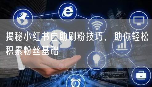 揭秘小红书自助刷粉技巧，助你轻松积累粉丝基础