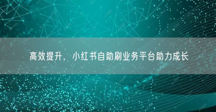 高效提升，小红书自助刷业务平台助力成长