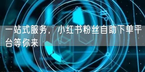 一站式服务，小红书粉丝自助下单平台等你来