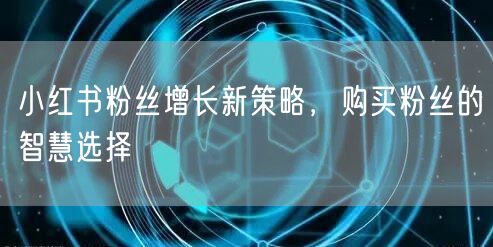 小红书粉丝增长新策略，购买粉丝的智慧选择