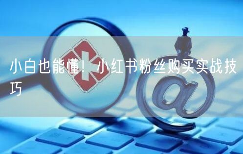 小白也能懂！小红书粉丝购买实战技巧