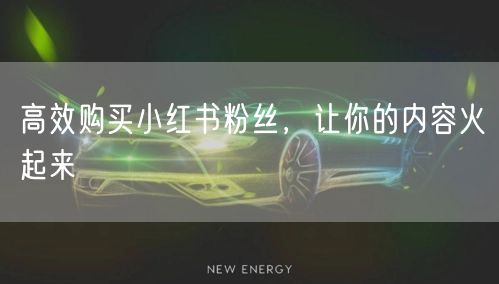 高效购买小红书粉丝，让你的内容火起来