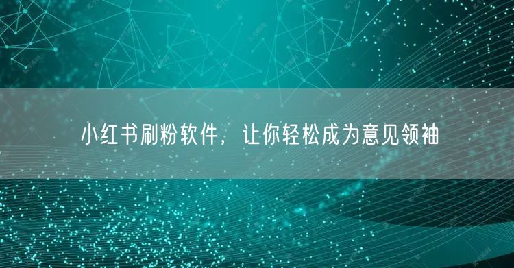 小红书刷粉软件，让你轻松成为意见领袖