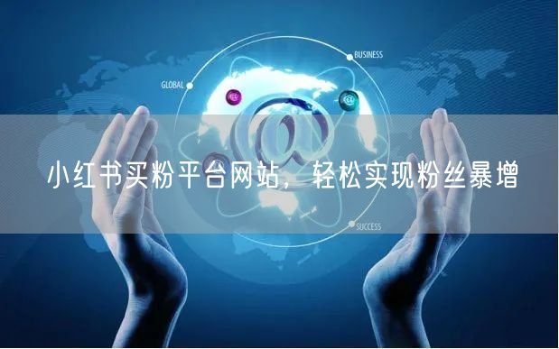 小红书买粉平台网站，轻松实现粉丝暴增