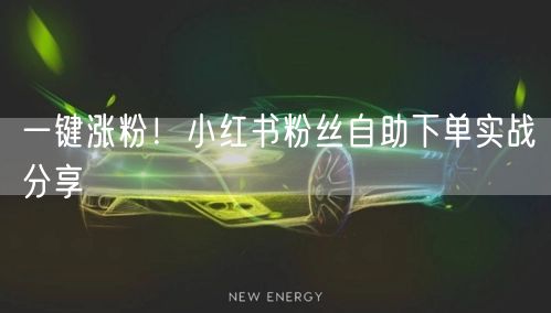 一键涨粉！小红书粉丝自助下单实战分享
