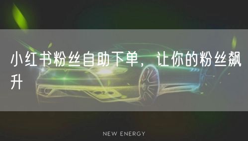 小红书粉丝自助下单，让你的粉丝飙升