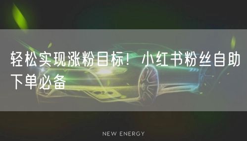 轻松实现涨粉目标！小红书粉丝自助下单必备