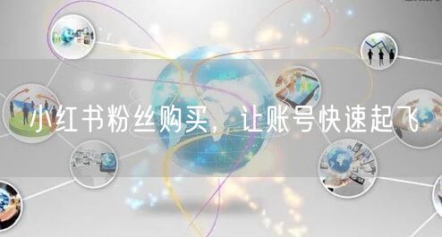 小红书粉丝购买，让账号快速起飞