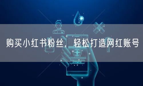 购买小红书粉丝，轻松打造网红账号