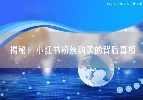 揭秘！小红书粉丝购买的背后真相