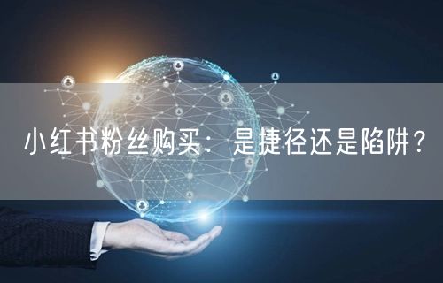 小红书粉丝购买：是捷径还是陷阱？
