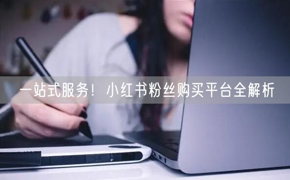一站式服务！小红书粉丝购买平台全解析