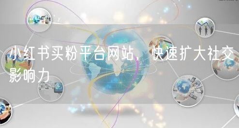 小红书买粉平台网站，快速扩大社交影响力