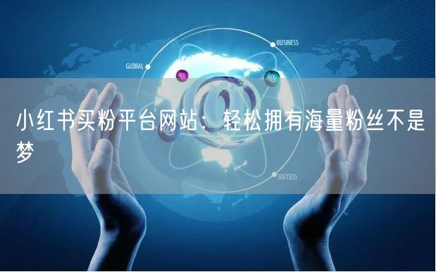 小红书买粉平台网站：轻松拥有海量粉丝不是梦