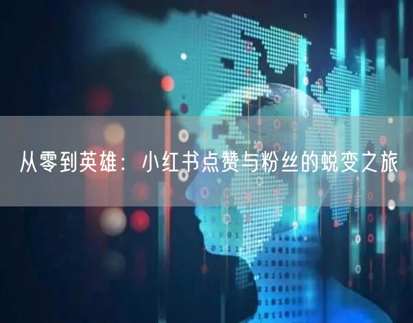 从零到英雄：小红书点赞与粉丝的蜕变之旅