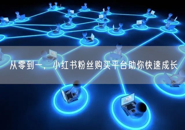 从零到一，小红书粉丝购买平台助你快速成长
