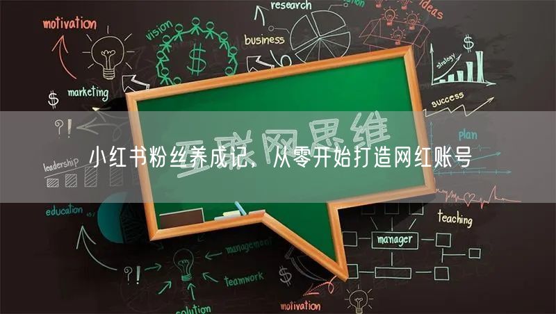 小红书粉丝养成记，从零开始打造网红账号