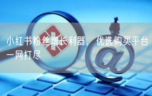 小红书粉丝增长利器，优选购买平台一网打尽