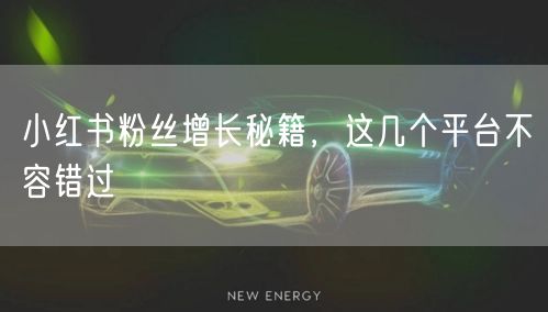 小红书粉丝增长秘籍，这几个平台不容错过