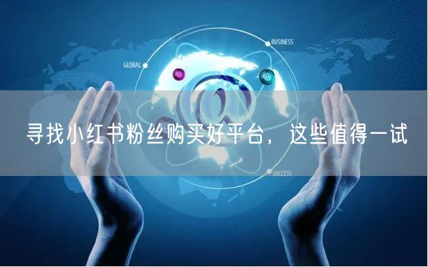 寻找小红书粉丝购买好平台，这些值得一试