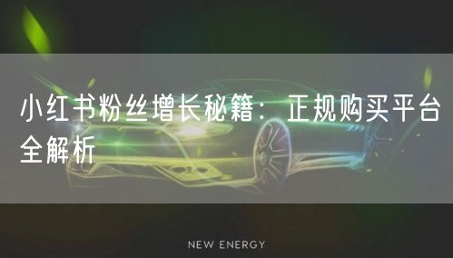 小红书粉丝增长秘籍：正规购买平台全解析