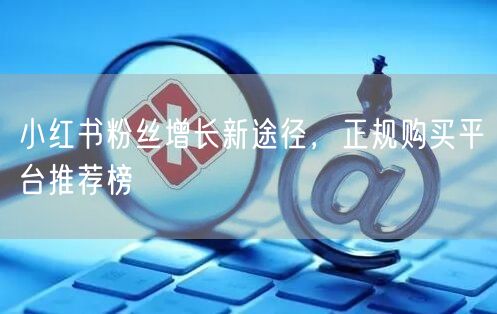小红书粉丝增长新途径，正规购买平台推荐榜