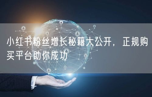 小红书粉丝增长秘籍大公开，正规购买平台助你成功