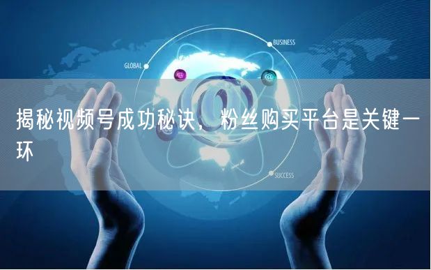 揭秘视频号成功秘诀，粉丝购买平台是关键一环