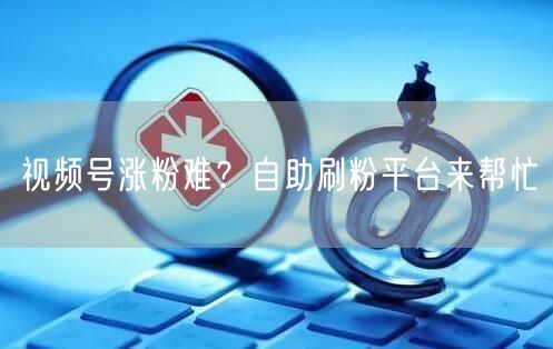 视频号涨粉难？自助刷粉平台来帮忙