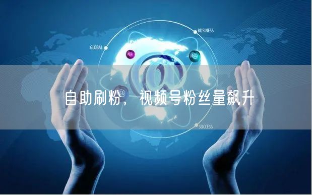自助刷粉，视频号粉丝量飙升