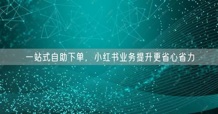 一站式自助下单，小红书业务提升更省心省力