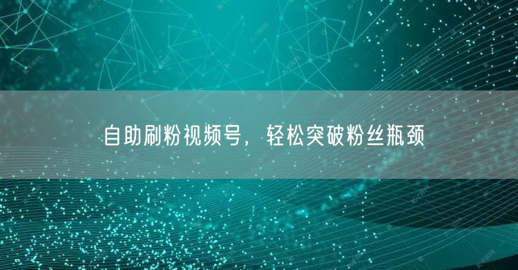 自助刷粉视频号，轻松突破粉丝瓶颈