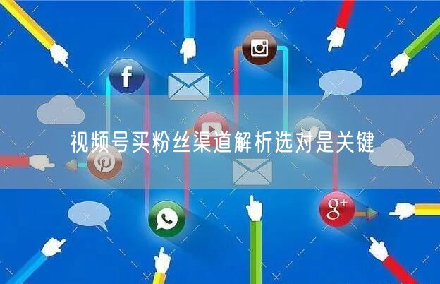 视频号买粉丝渠道解析选对是关键