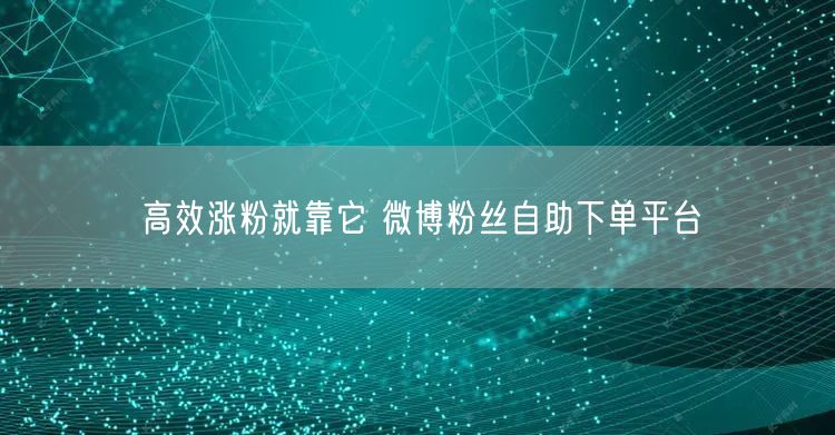 高效涨粉就靠它 微博粉丝自助下单平台