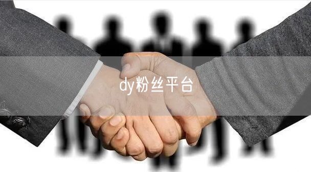 dy粉丝平台